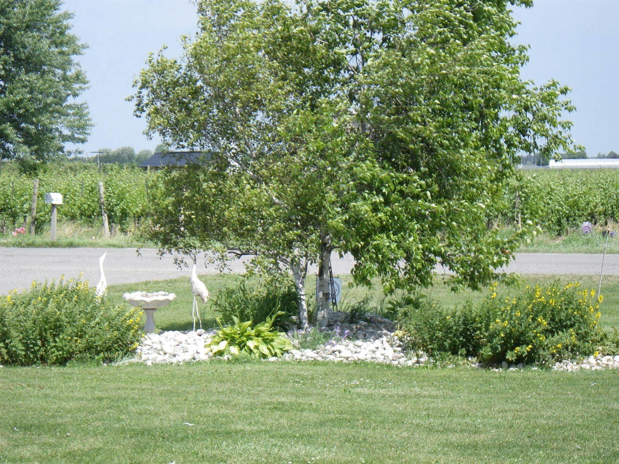 A Vineyard View Bed And Breakfast Niagara-on-the-Lake Zewnętrze zdjęcie